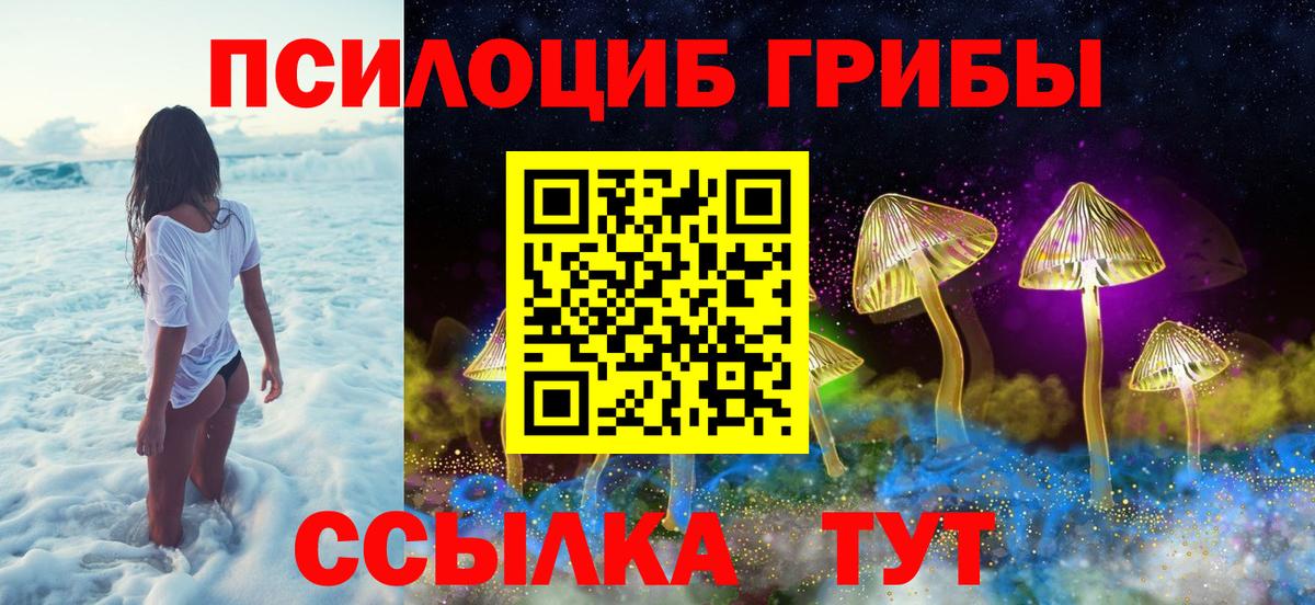 Галлюциногенные грибы Magic Shrooms Новодвинск