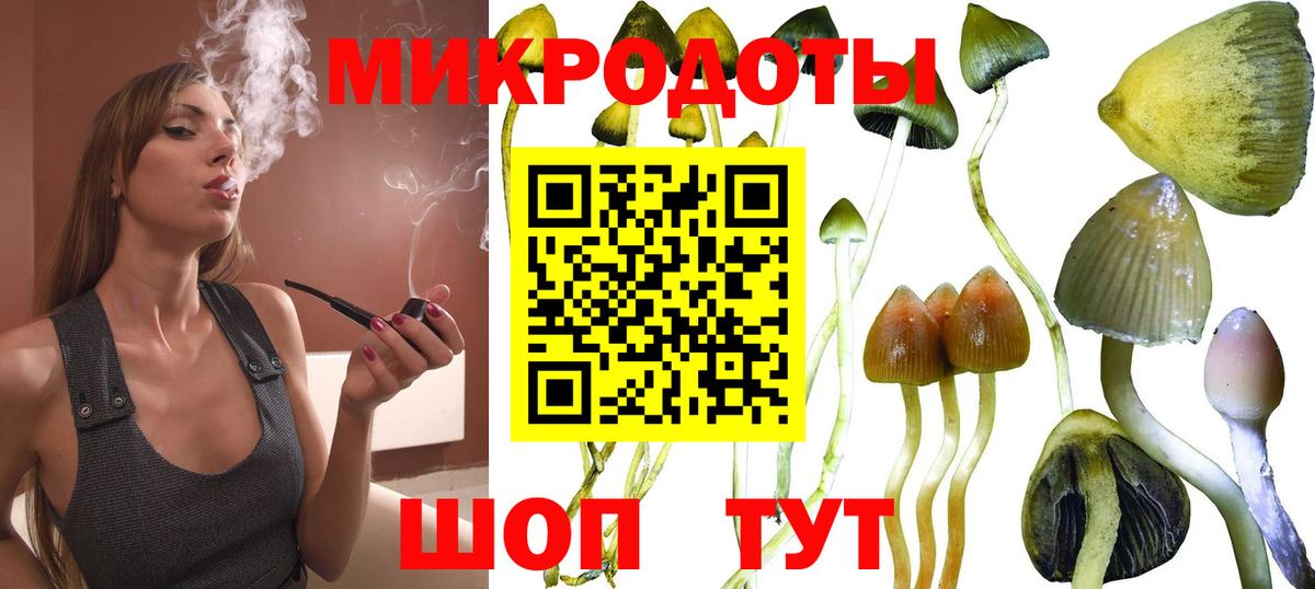 Новодвинск  Галлюциногенные грибы Psilocybe  Вход с VPN  где купить наркотик  Галлюциногенные грибы GOLDEN TEACHER 